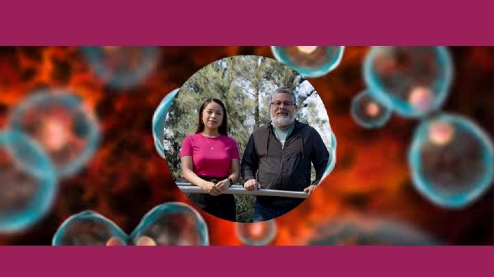 Científicos UV desarrollan fármacos contra cáncer