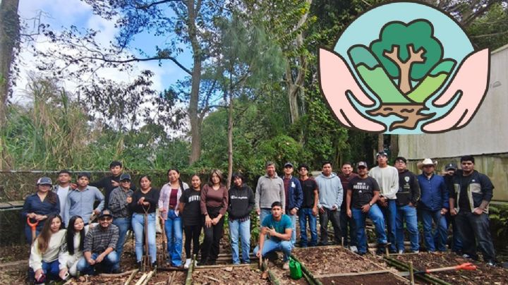 Estudiantes UV impulsan huerto sustentable en el Campus CAD