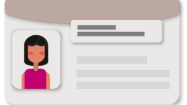 Nuevos elementos de información en la credencial para votar