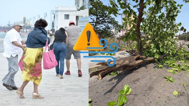 PC reporta saldo blanco en el puerto de Veracruz tras fuerte Norte