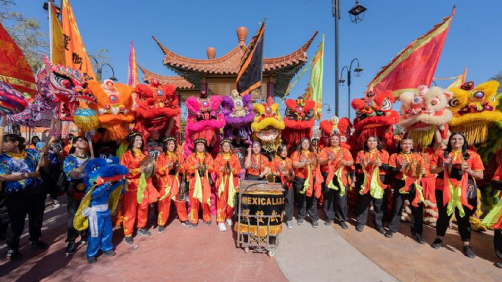 Año Nuevo Chino en Mexicali rompe récords y reafirma su legado cultural