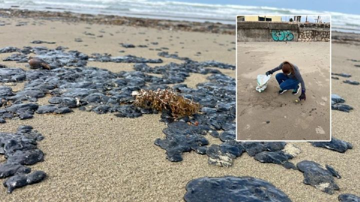 Voluntarios limpian más de 2 km de playa en Coatzacoalcos tras presencia de hidrocarburo