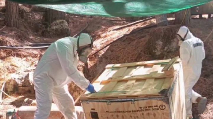 Desmantelan 2 narcolaboratorios en Durango valuados en más de 21 millones de pesos