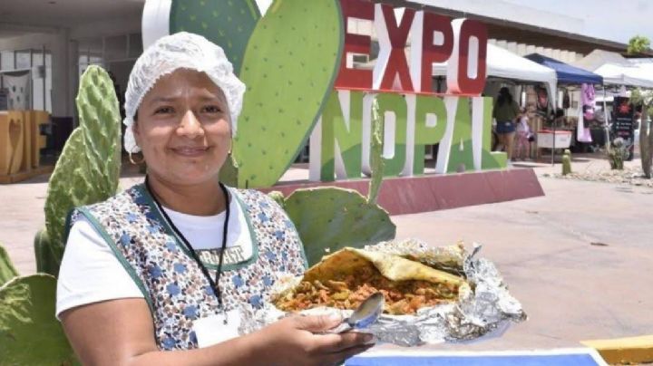 Japón detonaría con el nopal desarrollo en Valtierrilla