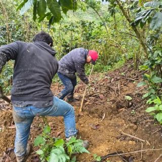 Policía halla morralito y costal de Juliana, niña ch’ol perdida en montaña de Tila