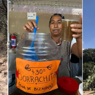 Cocina tradicional chichimeca en peligro de extinción
