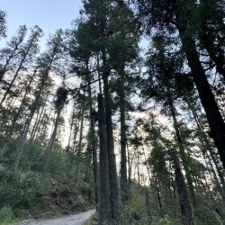 3 de marzo: celebrando la naturaleza que estamos destruyendo