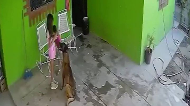 Niña es atacada por su mascota en Coahuila; recibió 68 puntadas en la cabeza