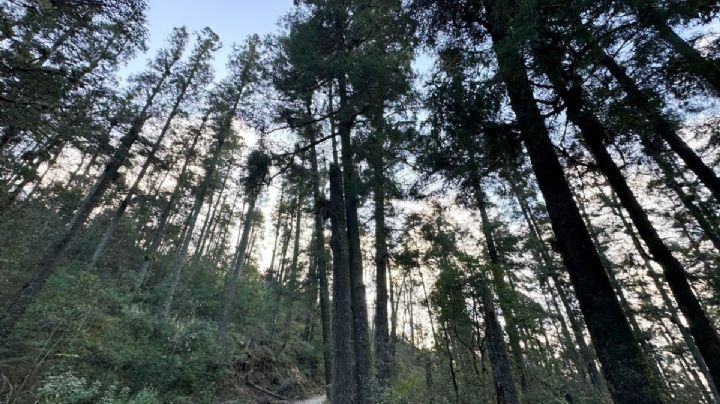 3 de marzo: celebrando la naturaleza que estamos destruyendo