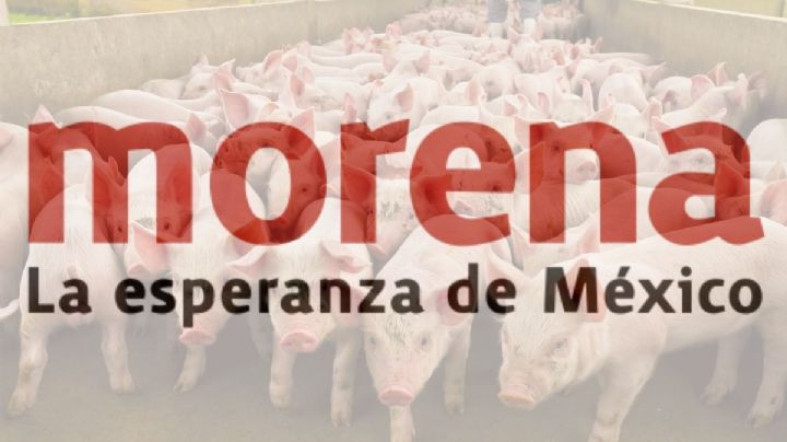 Lo dije: “¡con Morena los cerdos al poder!”
