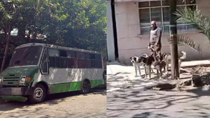 Acusan de maltrato animal a paseador de perros en la Del Valle