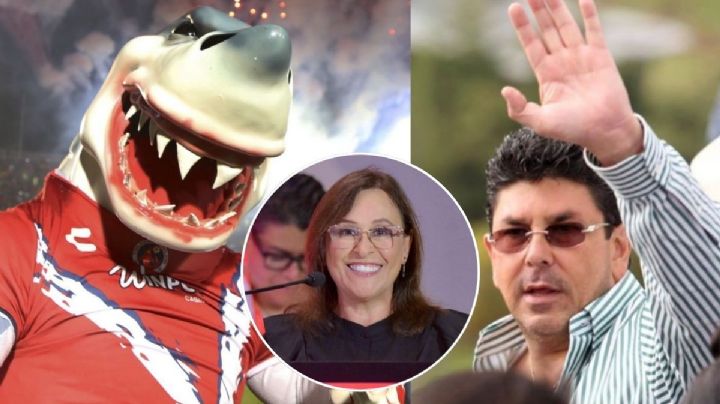 Nahle busca conservar nombre de Los Tiburones de Veracruz: "Kuri ha mostrado voluntad"