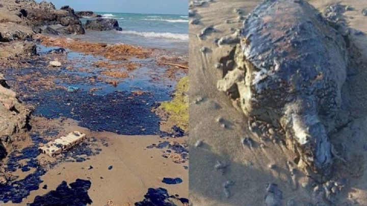 Denuncian derrame de hidrocarburos en costas de Tabasco