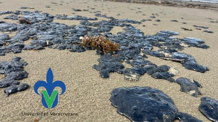 UV aportará conocimiento científico para atender derrame de hidrocarburo en el Golfo de México