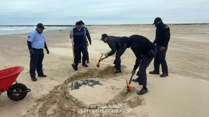 Marina ha recolectado seis toneladas de petróleo derramado en playas de Tamaulipas