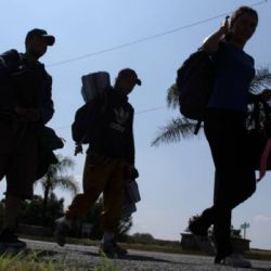 Democracia y migración