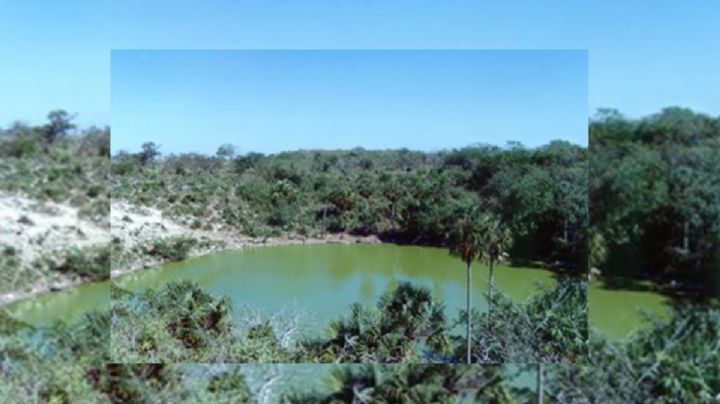 Así son las aguadas, los otros "cenotes" de Yucatán
