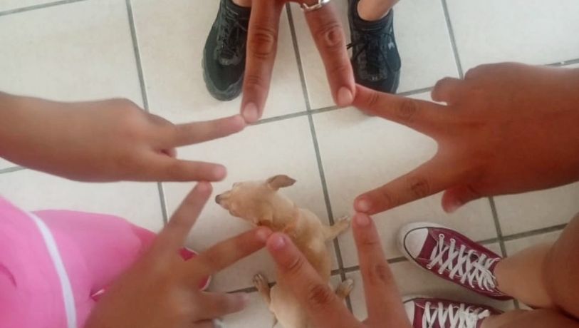 Elda recuperó a su hija luego de 40 días de sustracción parental