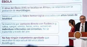 Salud mantiene vigilancia epidemiológica y alerta de viaje por hantavirus y ébola
