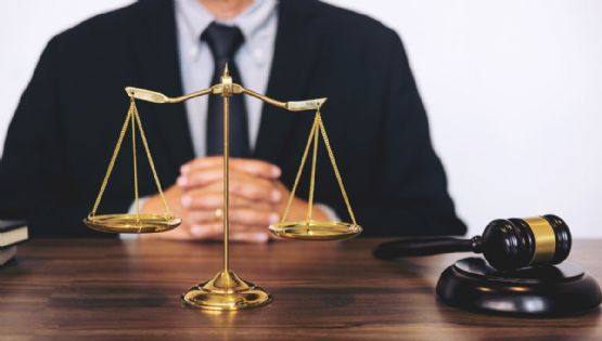 ¿Hay tigres vegetarianos? La reforma de la reforma judicial