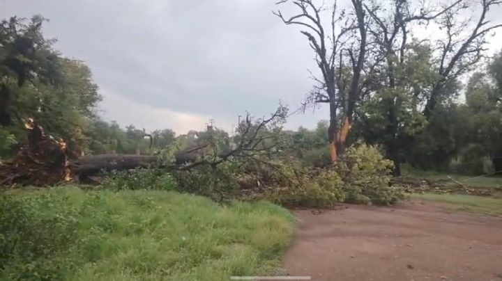 Lluvias y vientos dejan afectaciones en 18 municipios de Hidalgo; llaman a extremar precauciones