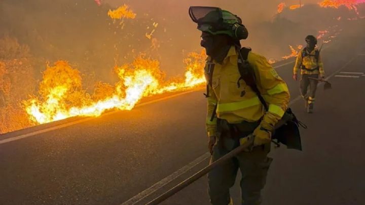 Tragedia en España: incendio forestal en Almería deja 12 muertos y 23 desaparecidos