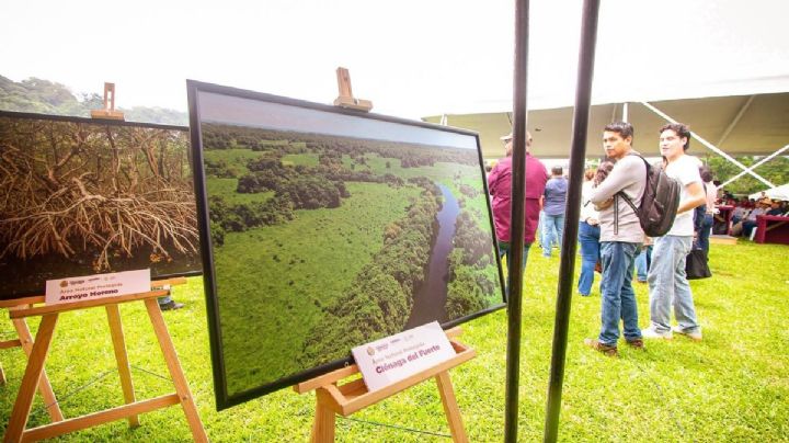 Reconocen importancia de la Reserva de la Biosfera Los Tuxtlas, área protegida de Veracruz