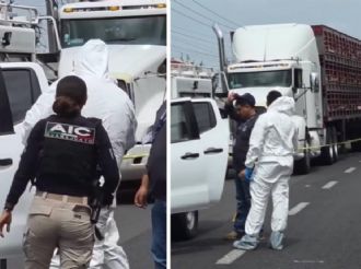 Balacera en la Panamericana por intento de asalto a tráiler con carga de cerdos