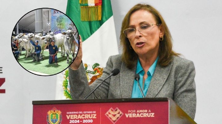 Rocío Nahle pide a ganaderos denunciar anomalías tras cancelación de Expo Cebú en Tuxpan