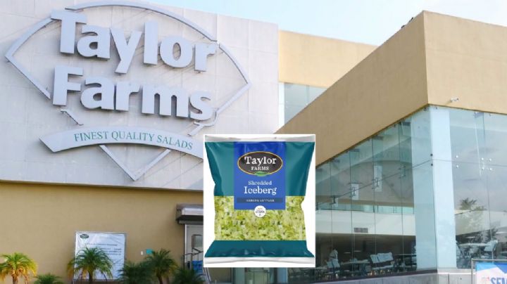 Confirmado: No encontraron Cyclospora en lechugas de la planta Taylor Farms de Doctor Mora