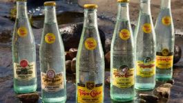 Foto que representa a Topochico paga más de 2 mil mdp al SAT y regulariza su situación fiscal: SHCP