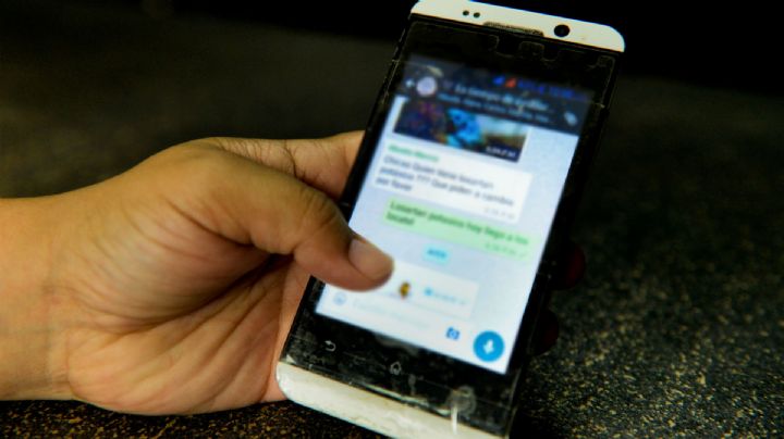 Tribunal Electoral no debe intervenir en la vida privada: abogada