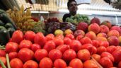 Foto ilustrativa de la nota titulada La historia de la guerra del tomate entre México y EU de 2019