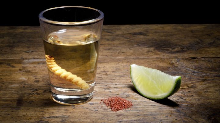 Día del mezcal,  datos acerca de esta gran bebida mexicana