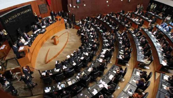 Realizarán senadores visita oficial a Nueva Zelanda, en el marco del 45 aniversario de relaciones bilaterales