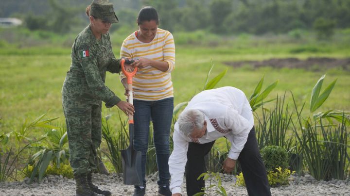 Se mantienen al alza Sembrando Vida y apoyos a hijos de Madres Trabajadoras