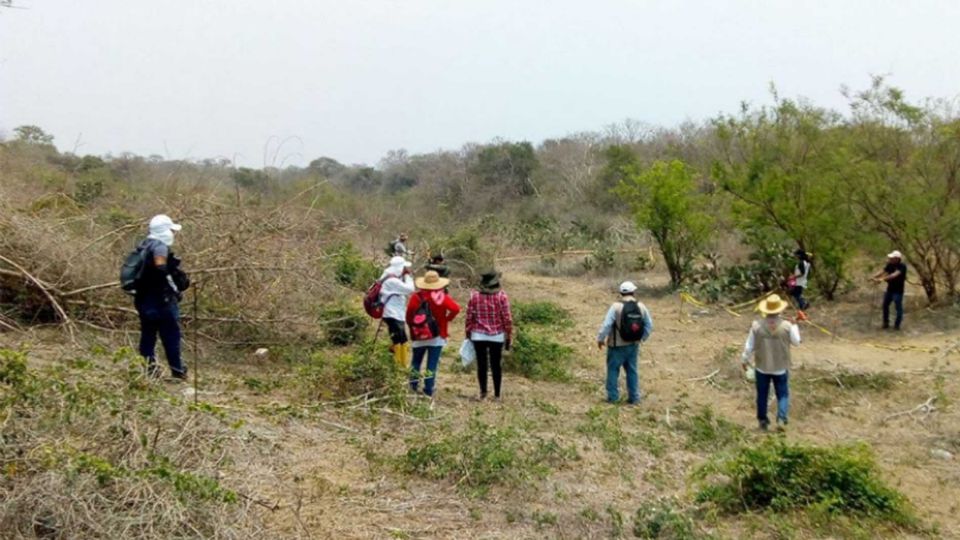 Falta un cuadrante donde se presume habría cuerpos