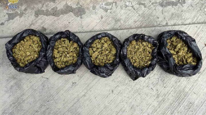 Aseguran 100 paquetes de marihuana en la colonia Guerrero; hay 2 hombres detenidos