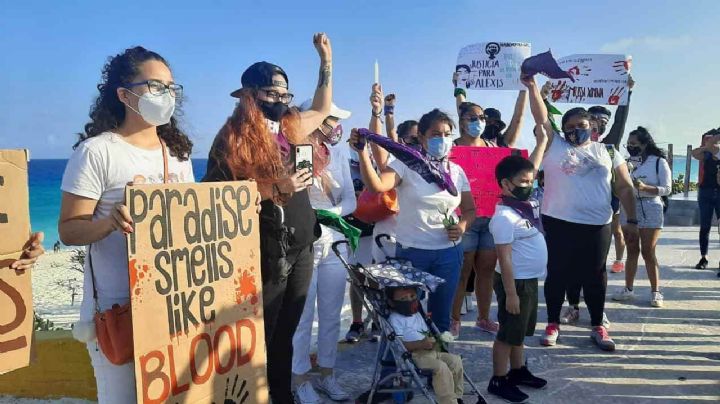 Denuncian matanza de delfines en costas de Tamaulipas para pesca de tiburón