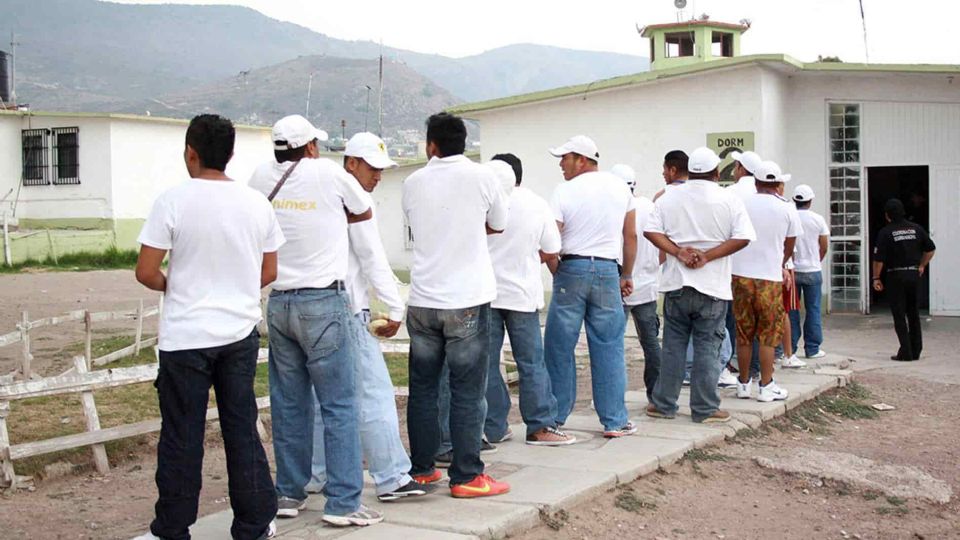 Además de la sobrepoblación, en las celdas ha chinches y pulgas