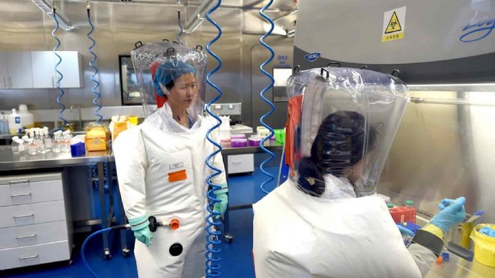 Covid-19: ¿se originó por fuga de laboratorio en China? Las dudas de la OMS