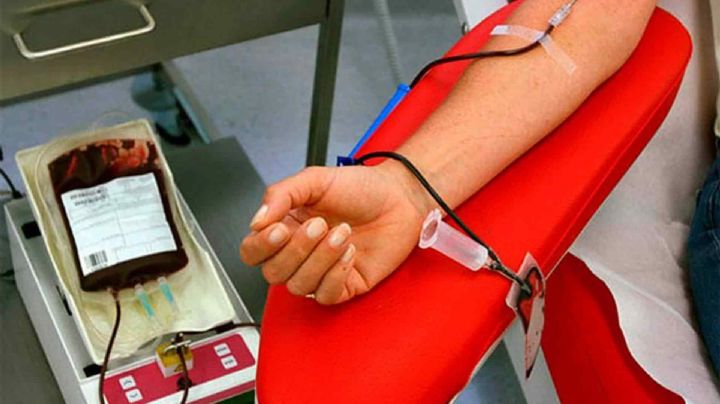 ¿Quieres donar sangre en Veracruz? Estos son los tipos sanguíneos compatibles