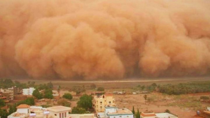 ¿Regresa polvo del Sahara a Veracruz? Esto se sabe