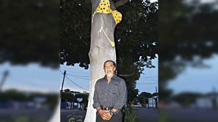 ¿Quién es el artista detrás del tradicional árbol del bikini de Veracruz?