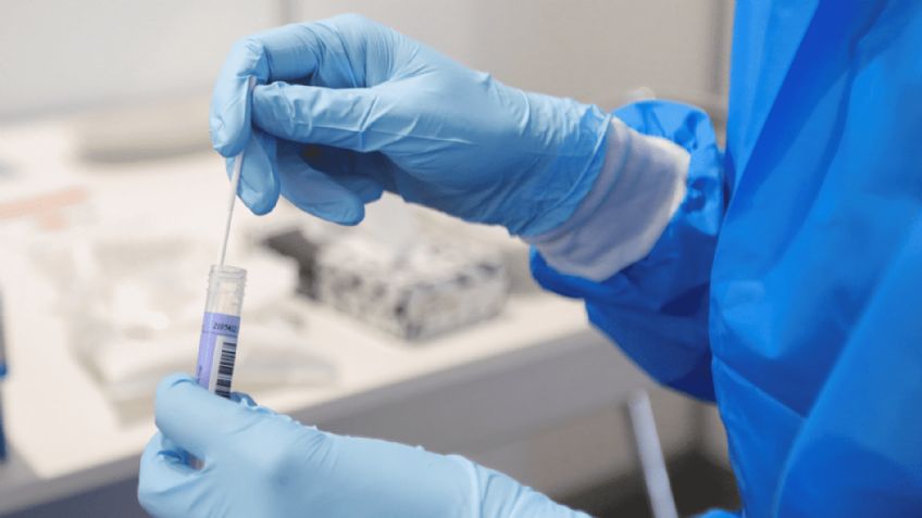 Empresa vetada del “Cártel de la Sangre” obtiene contratos en Sedena e IMSS