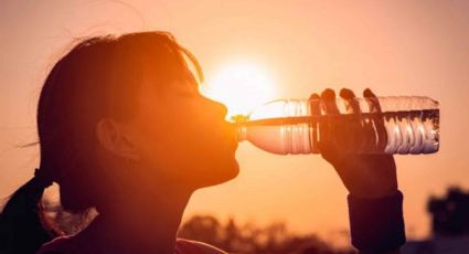 Evita el calor jarocho: así afecta la deshidratación al cuerpo