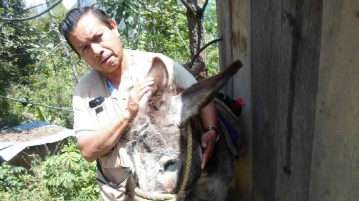 Liberan a regidor de Morena acusado de matar a reportero en Veracruz
