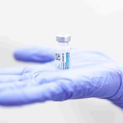 FDA bajo presión para aprobar vacunas anti covid: NYT