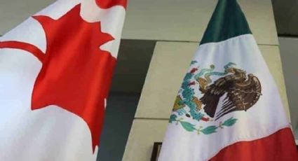 Profesionistas de Veracruz ahora migran a EU y Canadá: PRI Veracruz