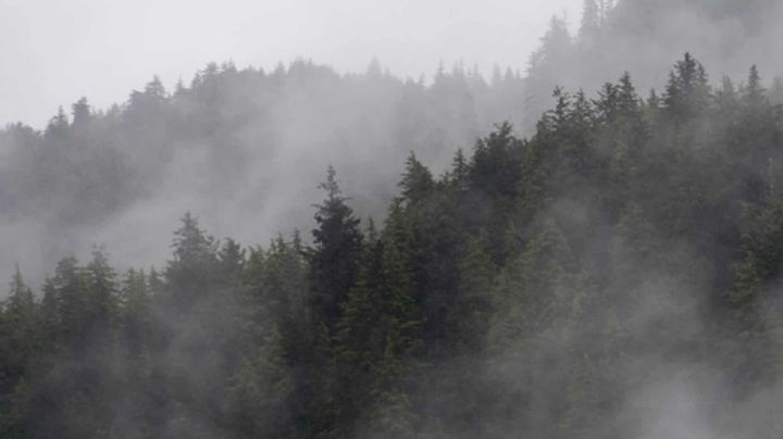 Veracruz aún no rompe récord de temperaturas más bajas; hay saldo blanco en primeras heladas